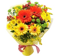  Ψ.     . Belflower -    .     .