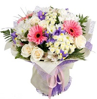 .     . Belflower -    .     .