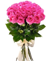 Milady.     . Belflower -    .     .