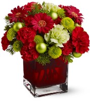    !.     . Belflower -    .     .
