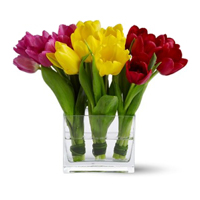    !.     . Belflower -    .     .