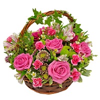  .     . Belflower -    .     .