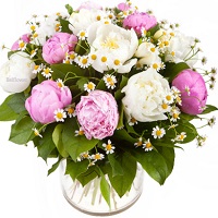  !.     . Belflower -    .     .