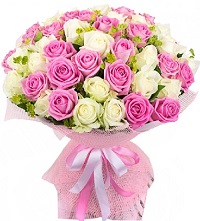  ,  !.     . Belflower -    .     .