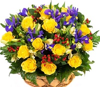   !.     . Belflower -    .     .