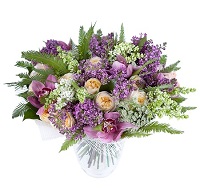  .     . Belflower -    .     .