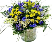  .     . Belflower -    .     .