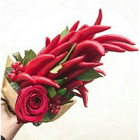  .     . Belflower -    .     .