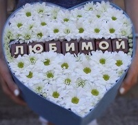   .     . Belflower -    .     .
