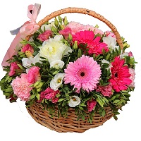   .     . Belflower -    .     .