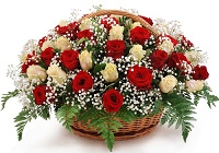 Ideal woman.     . Belflower -    .     .