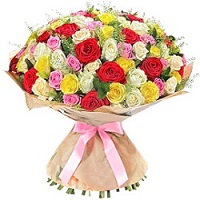  .     . Belflower -    .     .