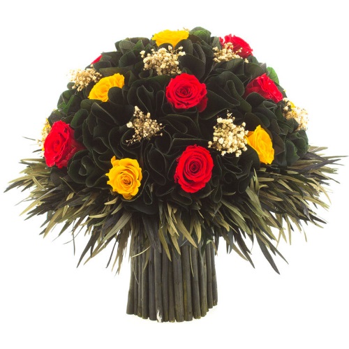 .     . Belflower -    .     .