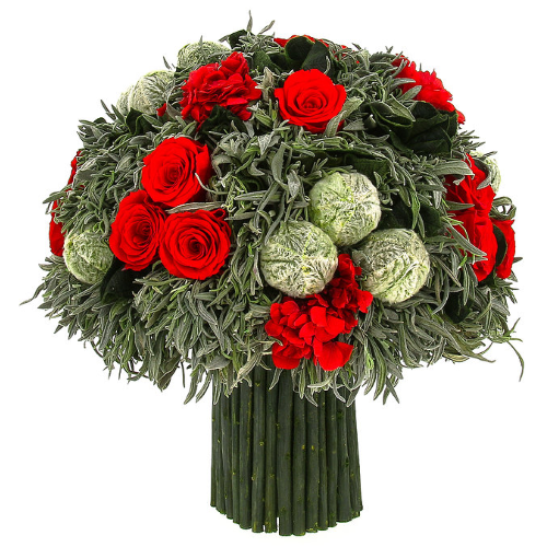  .     . Belflower -    .     .