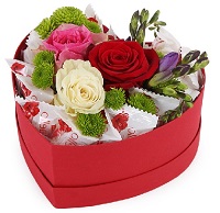  .     . Belflower -    .     .