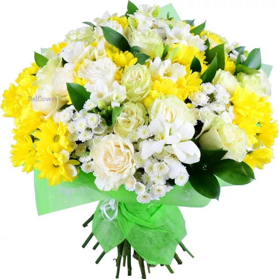  .     . Belflower -    .     .