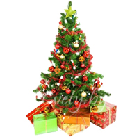 Happy New Year!!!.     . Belflower -    .     .