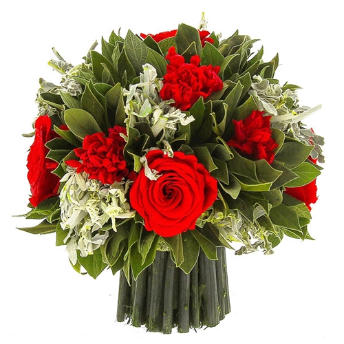  .     . Belflower -    .     .