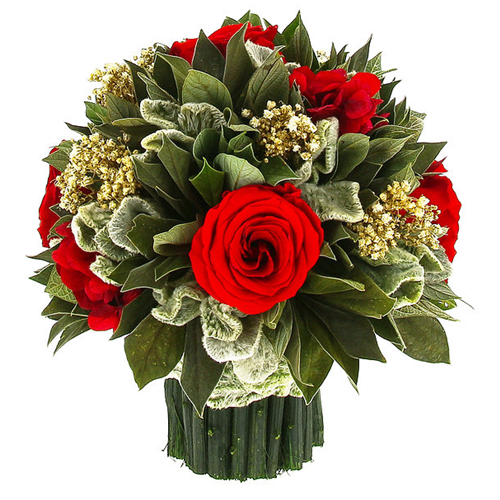   .     . Belflower -    .     .