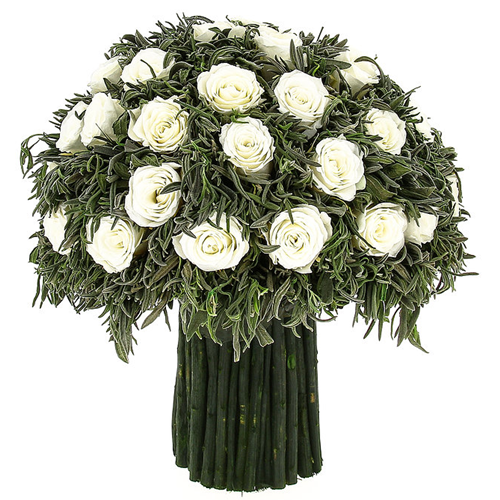  .     . Belflower -    .     .